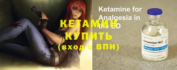 крисы Баксан