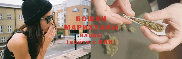 стафф Богданович
