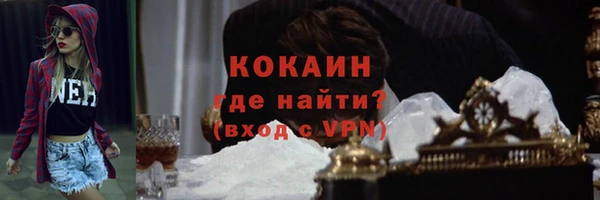 стафф Богданович