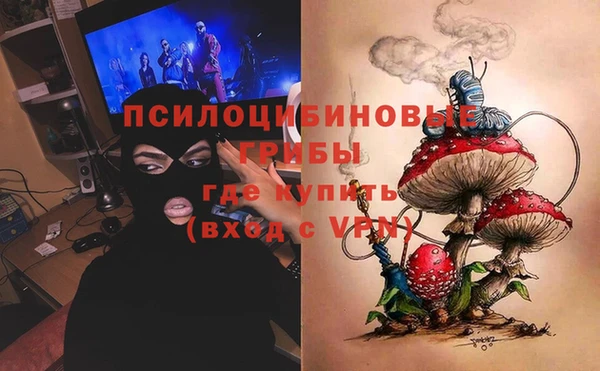 стафф Богданович