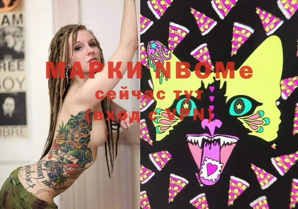 стафф Богданович