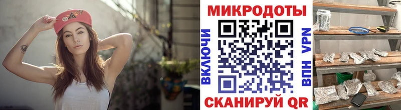 купить   Гороховец  Галлюциногенные грибы Cubensis 